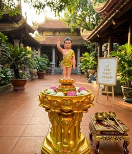 chậu tắm phật voi cổ