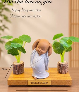chú tiểu an yên ( đứng ôm đầu)