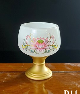 CHUNG D11 TRẮNG