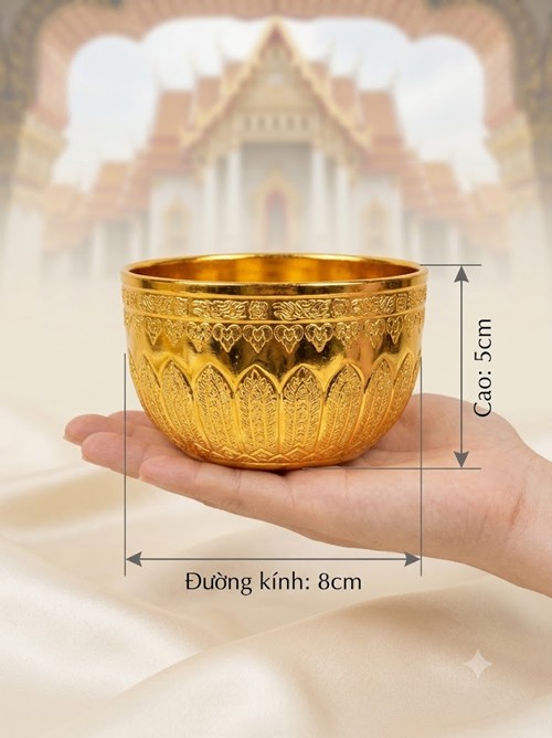 chung nhựa nhỏ