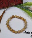 Chuỗi San Hô 8li