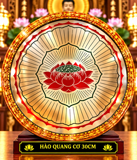 Hào Quang Cơ 3T sen