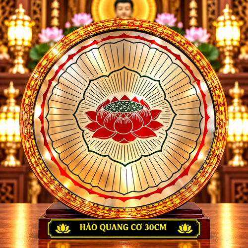 Hào Quang Cơ 3T sen