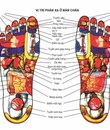 Đá Himalaya Massage Cong 5p 2 Viên
