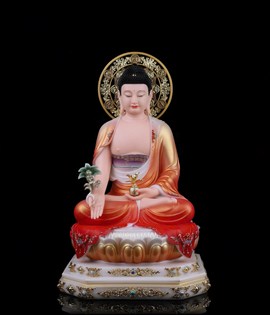 DƯỢC SƯ D001 25CM HCJ