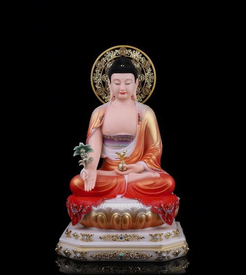 DƯỢC SƯ D001 25CM HCJ