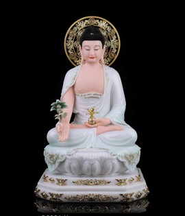 DƯỢC SƯ D001 40CM X