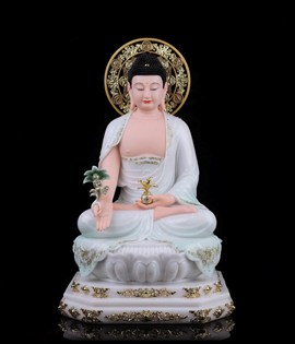 DƯỢC SƯ D001 48CM X