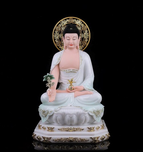 DƯỢC SƯ D001 48CM X