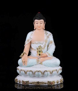 DƯỢC SƯ DS002 20CM FCMJ