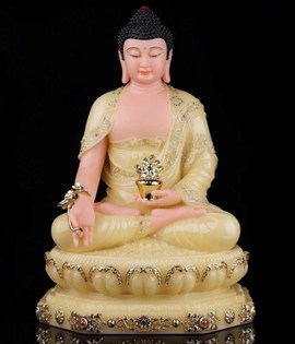 DƯỢC SƯ DS002 20CM HY