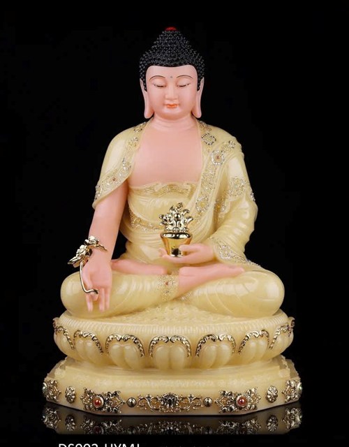 DƯỢC SƯ DS002 20CM HY