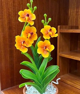 Hoa vanda - hoàng lan
