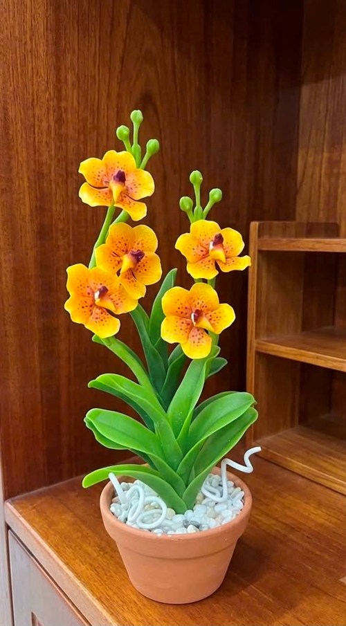 Hoa vanda - hoàng lan