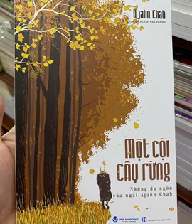 Một cội cây rừng