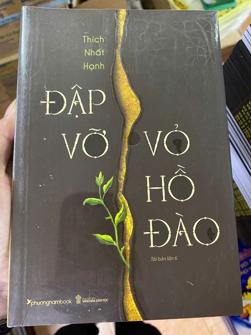 Đập Vỡ Vỏ Hồ Đào
