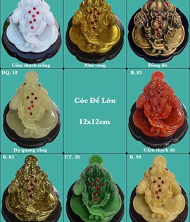 CÓC NHIỀU MẪU