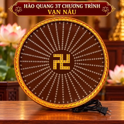 Hào Quang Chương Trình 3T VẠN NÂU