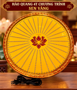Hào Quang Chương Trình 4T SEN VÀNG