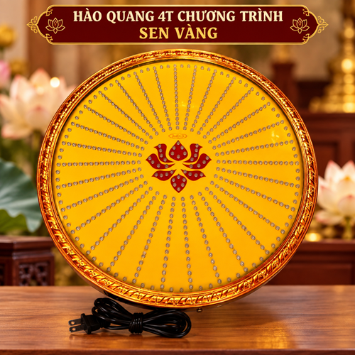 Hào Quang Chương Trình 4T SEN VÀNG