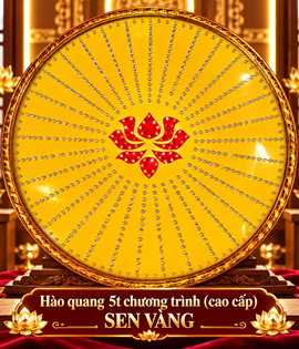 Hào Quang Chương Trình 5T SEN VÀNG