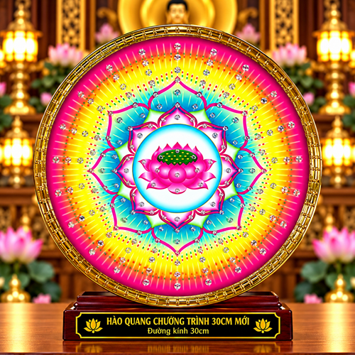 Hào Quang Chương Trình Mới 3T sen
