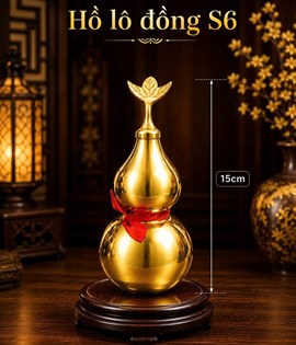 HỒ LÔ ĐỒNG 15 S6
