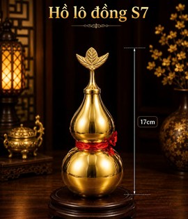 HỒ LÔ ĐỒNG 17 S7