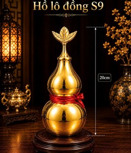 HỒ LÔ ĐỒNG 20 S9