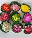 Hoa súng thả nước búp TQ