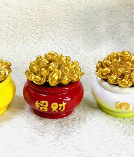 Hủ muối gạo