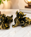 kỳ hưu vàng (nâu)