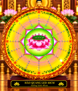 Hào Quang 4T SEN