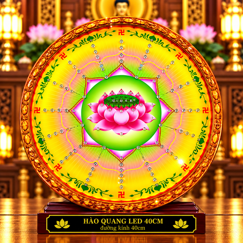 Hào Quang 4T SEN