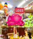 lồng đèn hoàng liên LD22 hồng