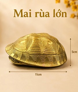 mai rùa lớn 11cm
