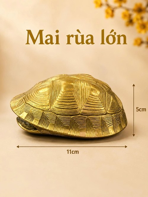 mai rùa lớn 11cm