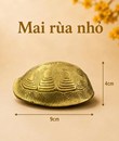 /UserUpload/Project/mai-rua-nho-9cm.jpg