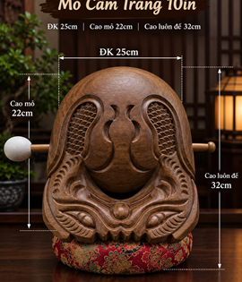 Mõ Cẩm Trắng 10in