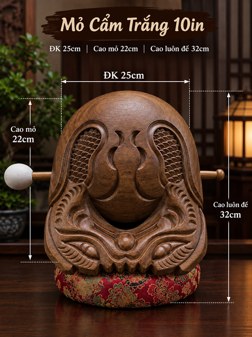 Mõ Cẩm Trắng 10in