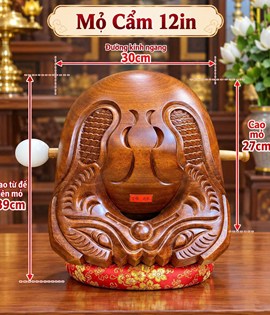 Mõ Cẩm Trắng 12in