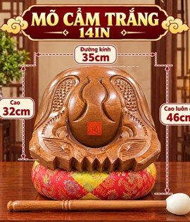 Mõ Cẩm Trắng 14in