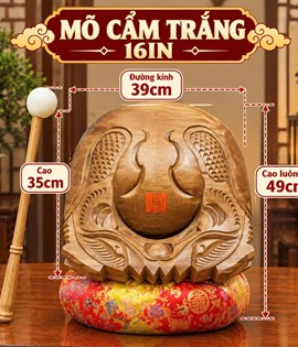 Mõ Cẩm Trắng 16in