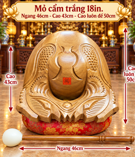 Mõ Cẩm Trắng 18in