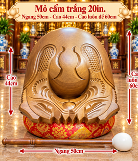 Mõ Cẩm Trắng 20in