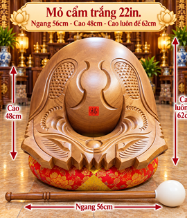 Mõ Cẩm Trắng 22in