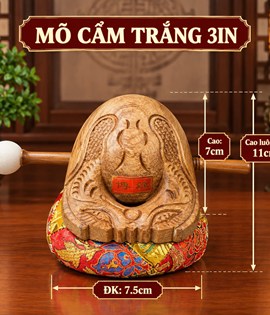 Mõ Cẩm Trắng 3in