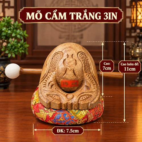 Mõ Cẩm Trắng 3in