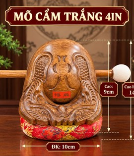 Mõ Cẩm Trắng 4in