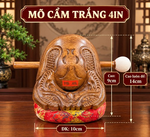 Mõ Cẩm Trắng 4in